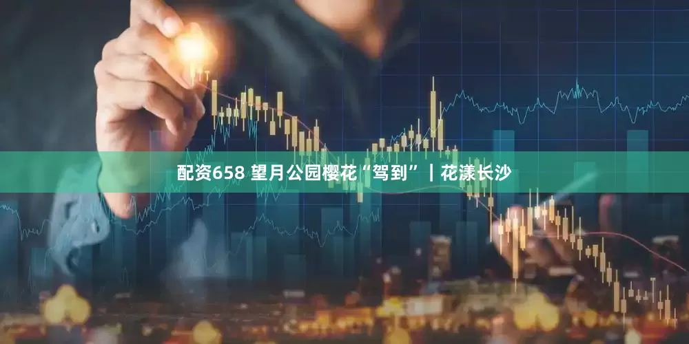 配资658 望月公园樱花“驾到”｜花漾长沙